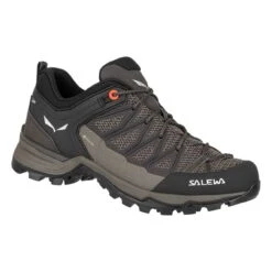 Salewa Ws Mtn Trainer Lite GTX