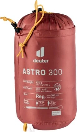 Deuter Astro 300 -Camping Equipment Store 3711021 5908 Astro 300 d07 1280x1280