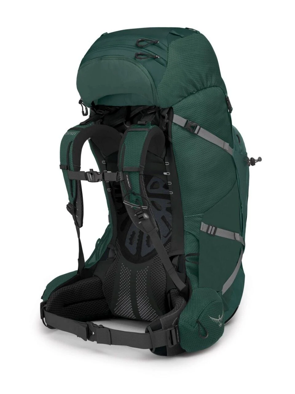 Osprey Aether Plus 85 3 Osprey Aether Plus 85 - Image 3