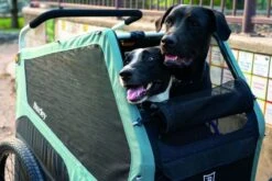 Burley Bark Ranger -Camping Equipment Store SS23BarkRanger 840840014115 05 1280x1280