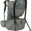 Thule Sapling Child Carrier